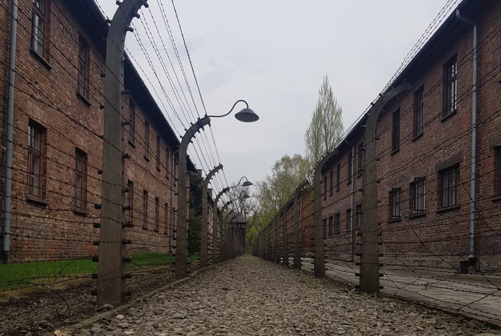 barracks and fence Auschwitz Birkenau I