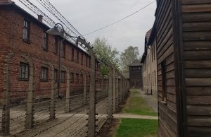 barracks and fence Auschwitz Birkenau I